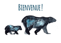 Ours cosmiques pour une nouvelle vie
